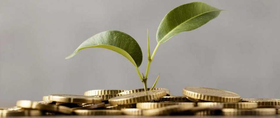 инвестиции с профессионалами ПИФы